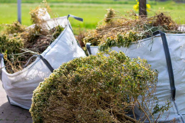 Best Yard Waste Removal  in Rockwood, MI